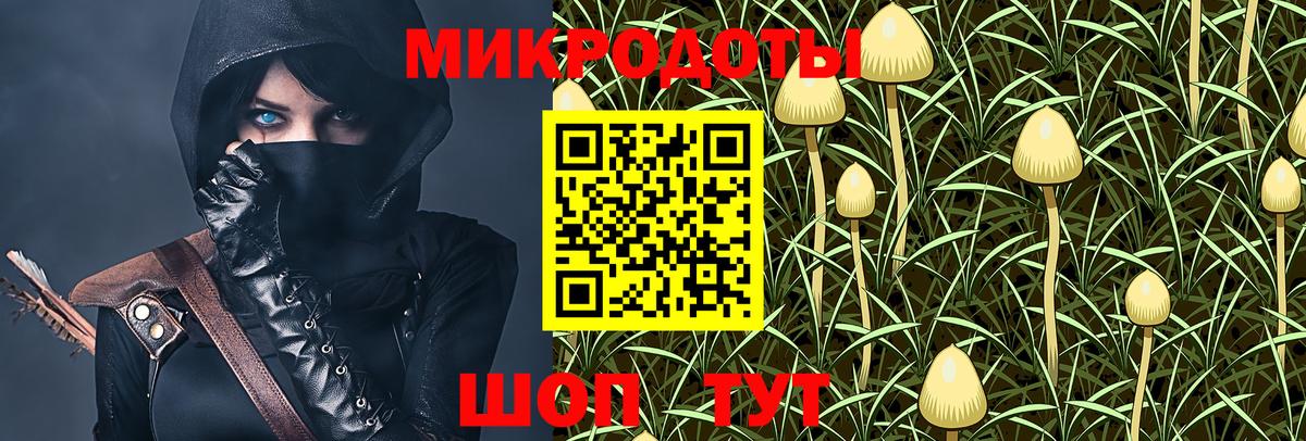 Урус-Мартан  Псилоцибиновые грибы Cubensis  Галлюциногенные грибы мицелий  Вход с VPN 